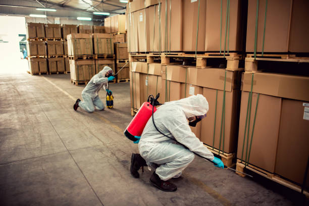 Best Bed Bug Extermination  in Winter Gardens, CA