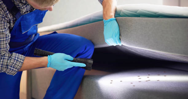Professional Pest Control in Winter Gardens, CA